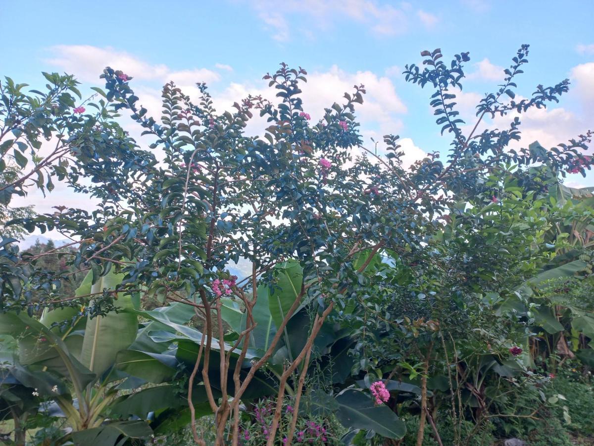 Homestay Hoang Vu Ха Жианг Екстериор снимка
