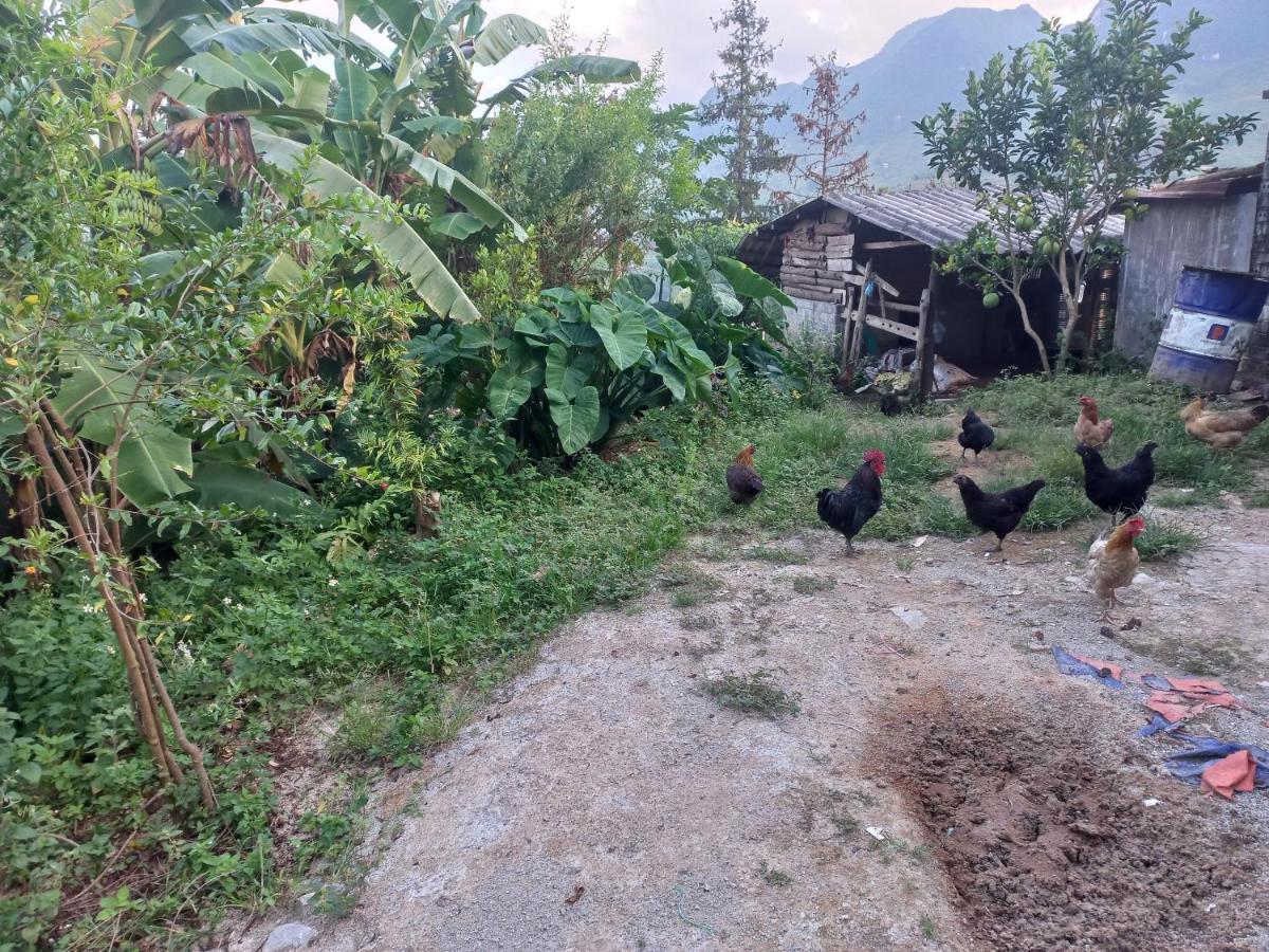 Homestay Hoang Vu Ха Жианг Екстериор снимка